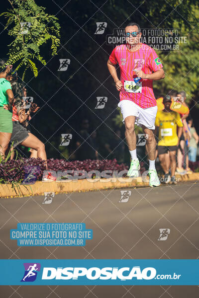 Vale Verde Run 2024