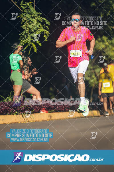 Vale Verde Run 2024