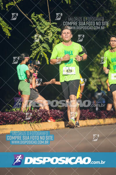 Vale Verde Run 2024