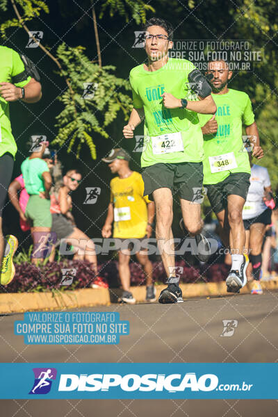 Vale Verde Run 2024