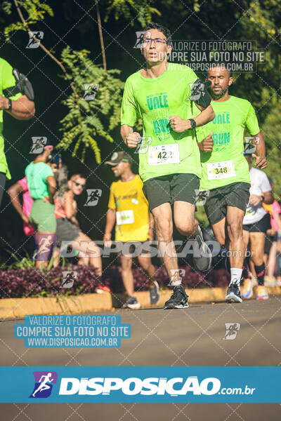 Vale Verde Run 2024