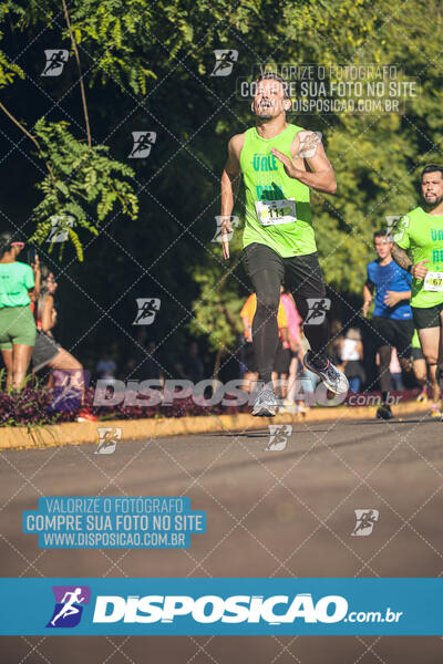 Vale Verde Run 2024