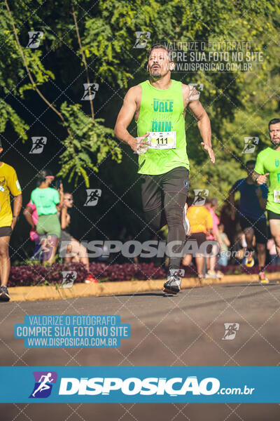 Vale Verde Run 2024