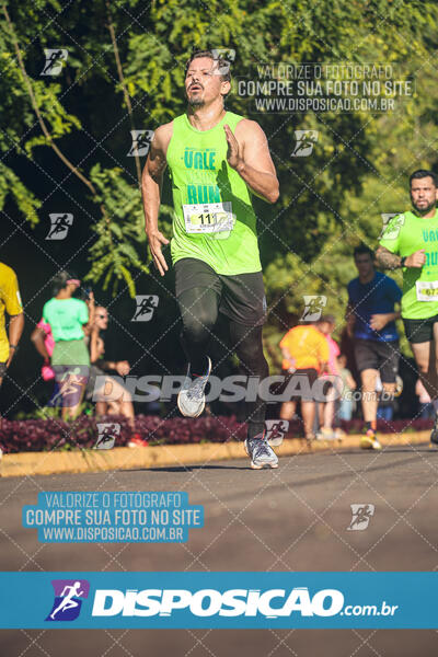 Vale Verde Run 2024