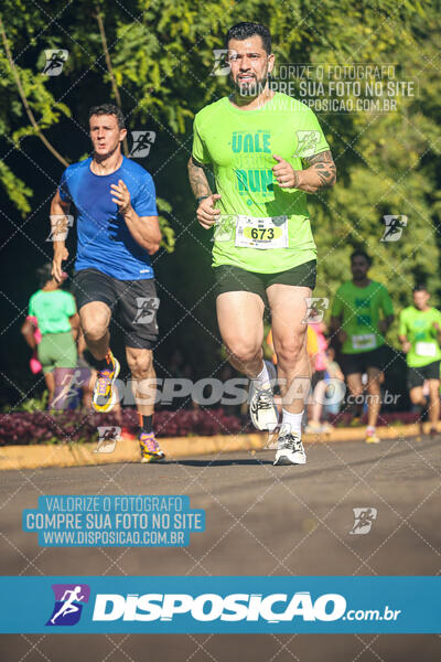 Vale Verde Run 2024