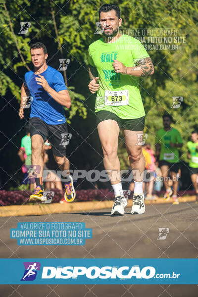 Vale Verde Run 2024