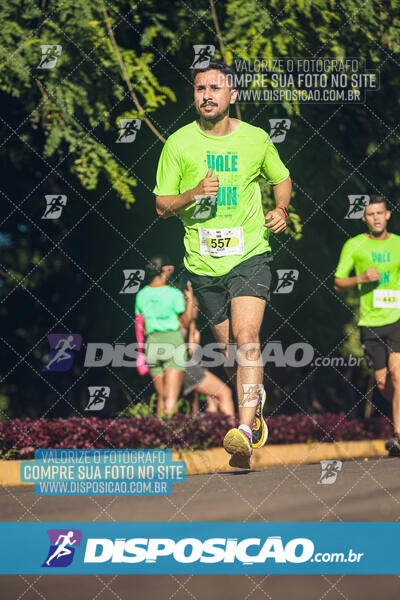 Vale Verde Run 2024