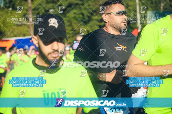 Vale Verde Run 2024