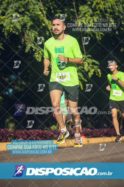 Vale Verde Run 2024