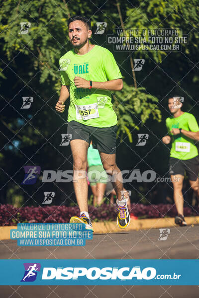 Vale Verde Run 2024