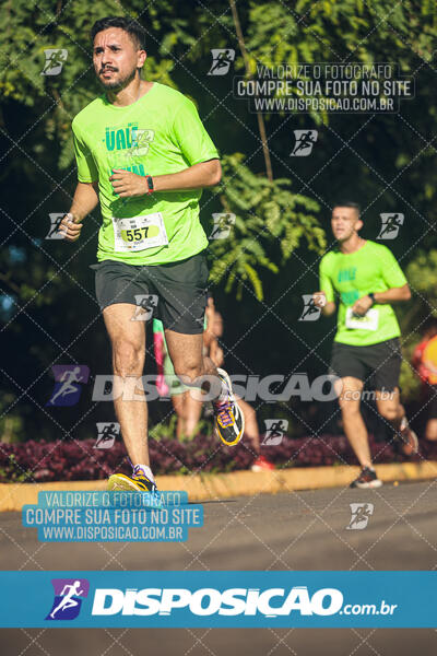 Vale Verde Run 2024