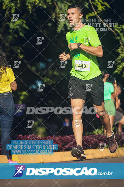 Vale Verde Run 2024