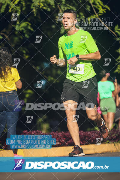 Vale Verde Run 2024