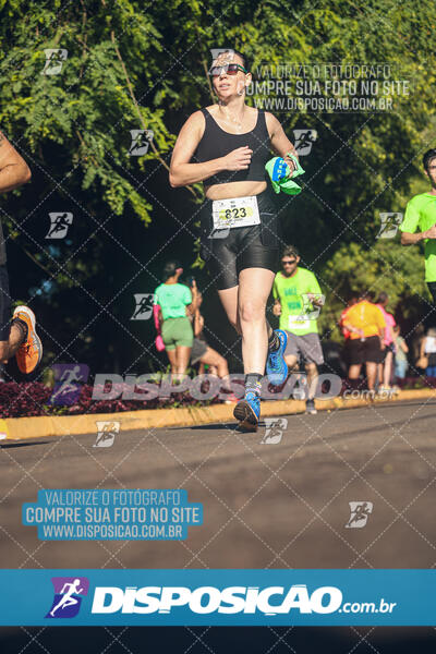 Vale Verde Run 2024