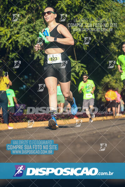 Vale Verde Run 2024