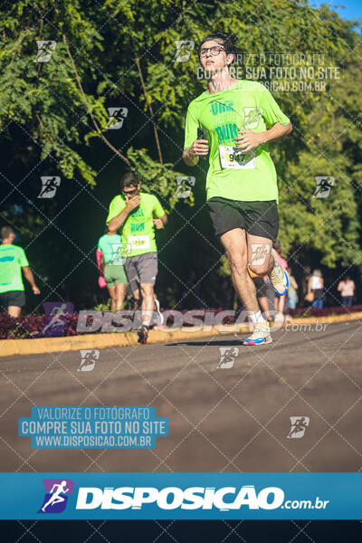 Vale Verde Run 2024