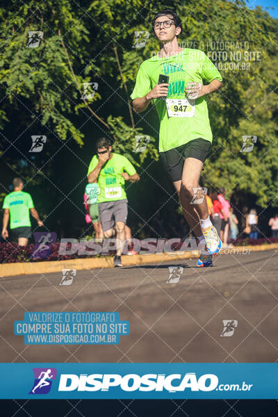 Vale Verde Run 2024