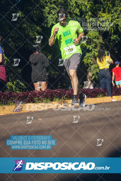 Vale Verde Run 2024