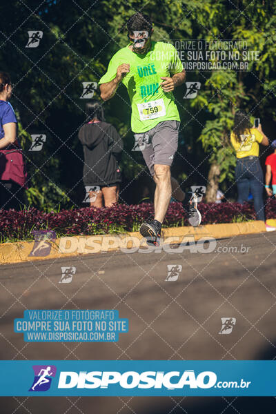 Vale Verde Run 2024