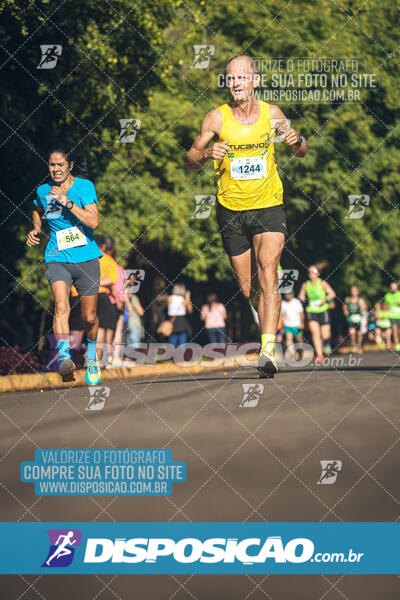 Vale Verde Run 2024