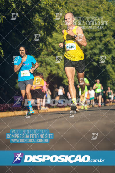 Vale Verde Run 2024