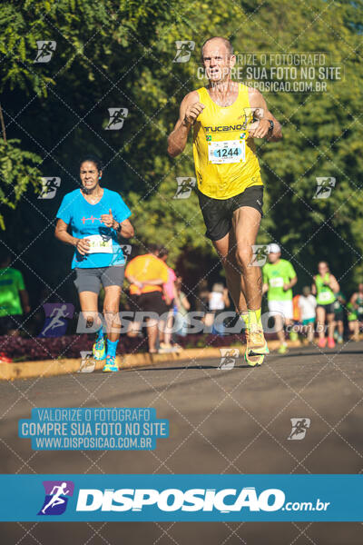 Vale Verde Run 2024