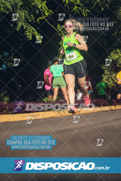 Vale Verde Run 2024