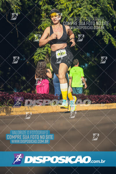 Vale Verde Run 2024