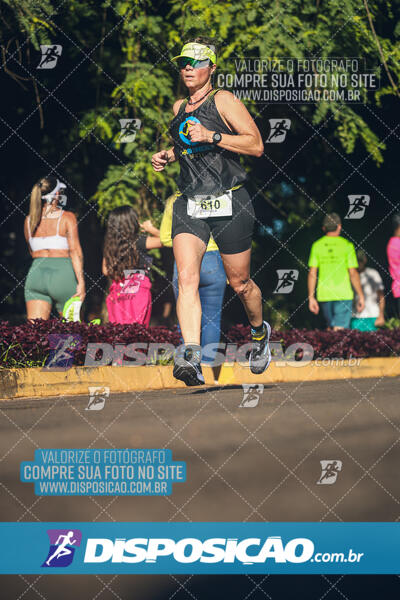 Vale Verde Run 2024