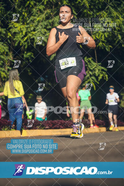 Vale Verde Run 2024