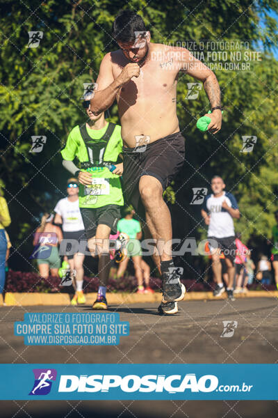 Vale Verde Run 2024