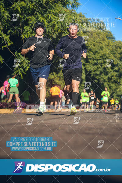 Vale Verde Run 2024