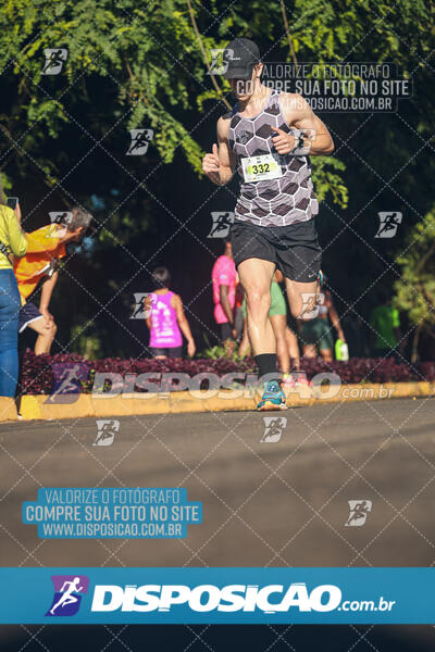 Vale Verde Run 2024