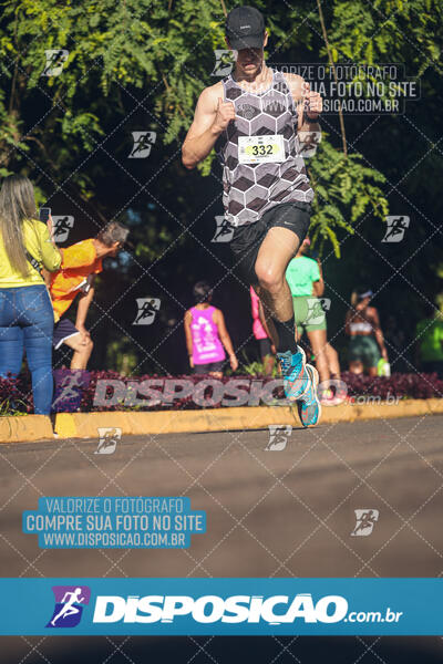 Vale Verde Run 2024