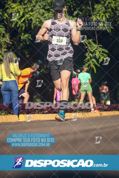 Vale Verde Run 2024