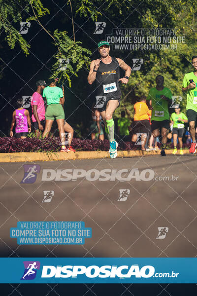 Vale Verde Run 2024