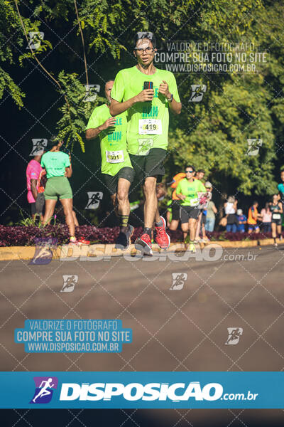 Vale Verde Run 2024