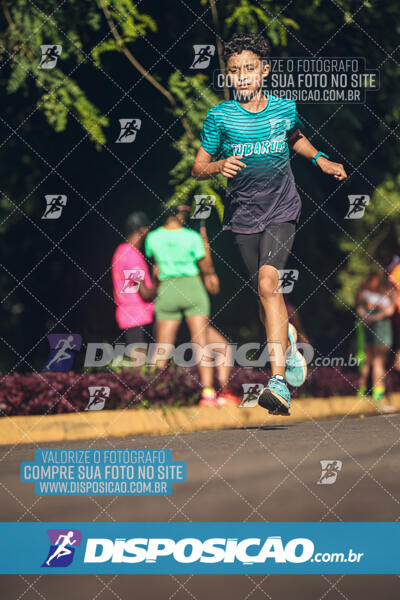 Vale Verde Run 2024