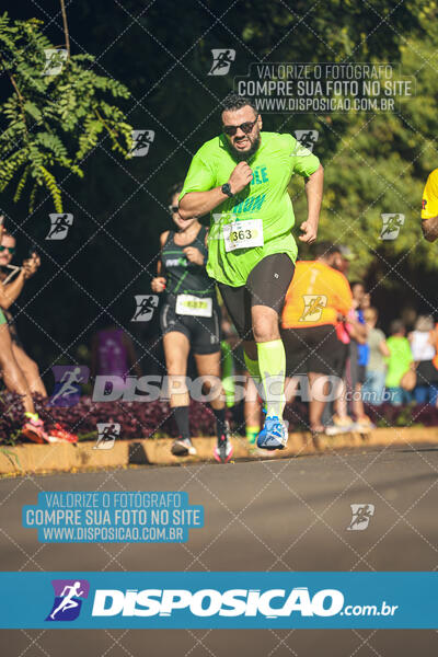 Vale Verde Run 2024