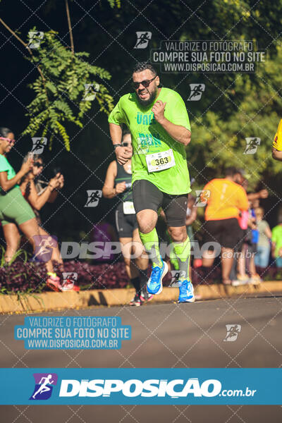 Vale Verde Run 2024