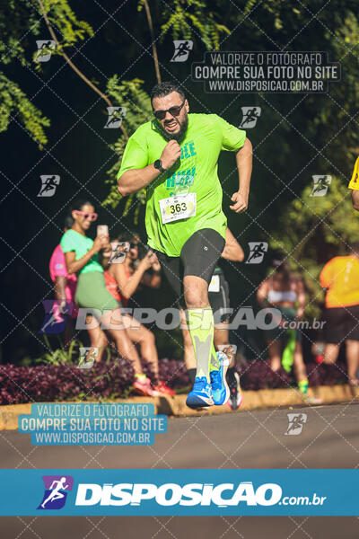 Vale Verde Run 2024