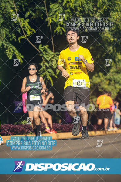 Vale Verde Run 2024