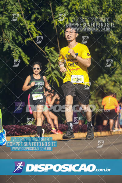 Vale Verde Run 2024