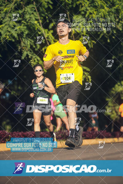 Vale Verde Run 2024