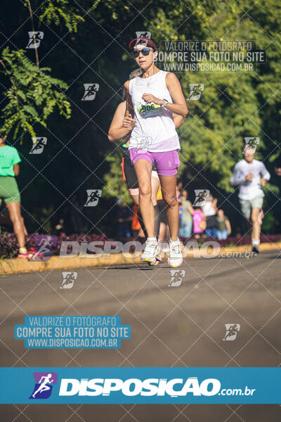 Vale Verde Run 2024