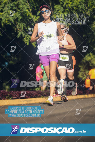 Vale Verde Run 2024