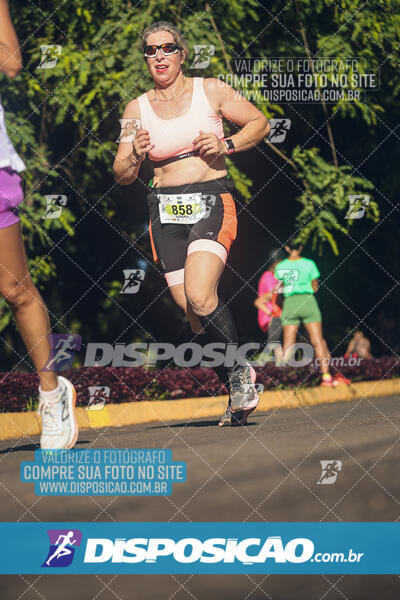 Vale Verde Run 2024