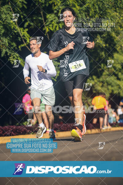 Vale Verde Run 2024