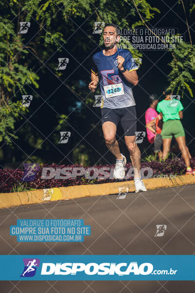 Vale Verde Run 2024