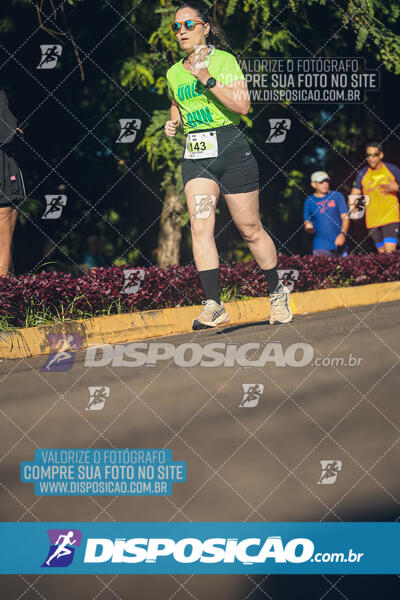 Vale Verde Run 2024